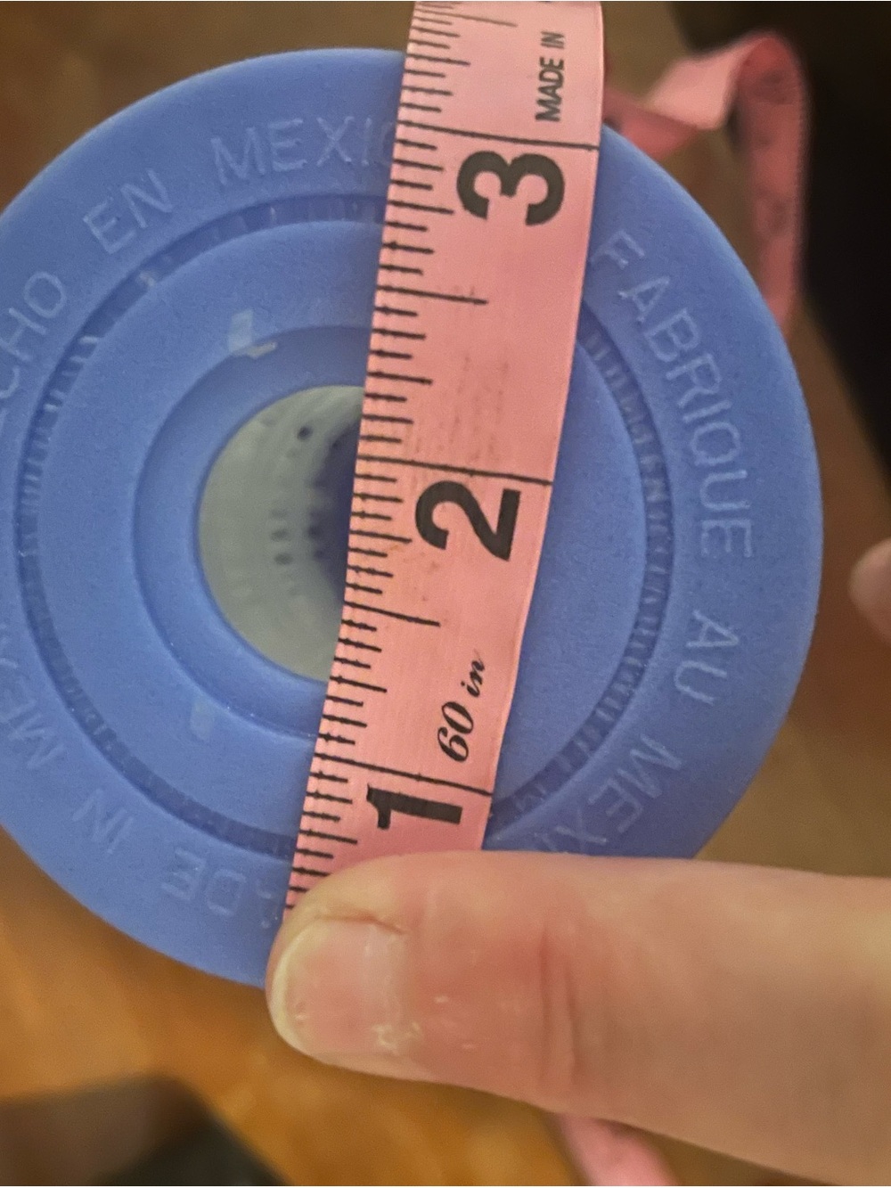 Two Pool Filters